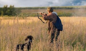 Read more about the article How to make kennels for hunting dogs: the importance of adequate space