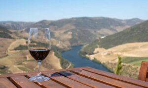 Read more about the article Difference between Ribera and Rioja: how to distinguish them and which is the best