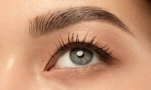 Read more about the article How long does it take for the eyebrow to grow: influencing factors and how to speed up the process