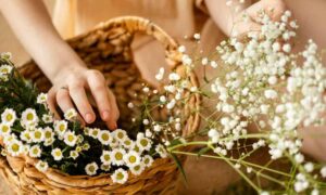 Read more about the article How to decorate a wicker basket with dried flowers step by step