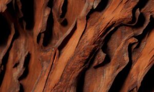 Read more about the article Walnut wood: characteristics, advantages and how to use it