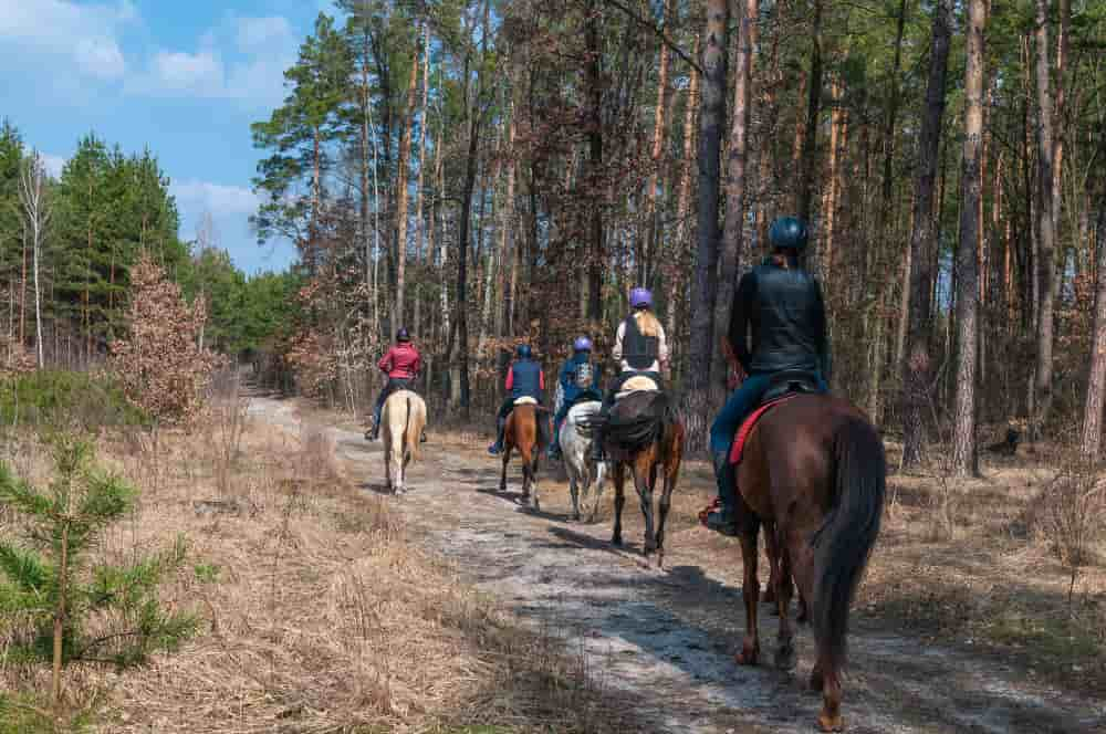 Horse riding routes Madrid