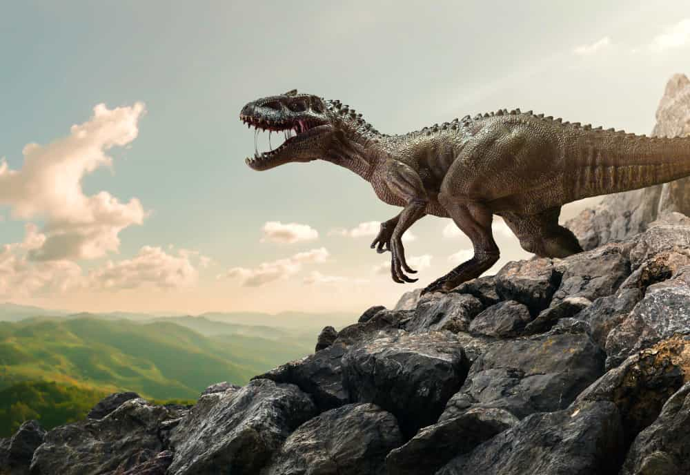 a dinosaur specimen on a mountain