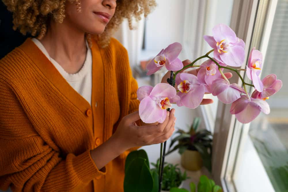 girl takes care of an orchid