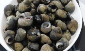 Read more about the article How to cook periwinkles: step-by-step guide to do it right