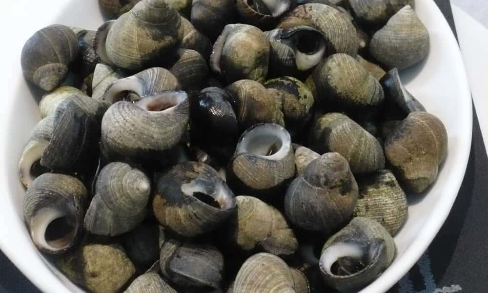 How to cook periwinkles