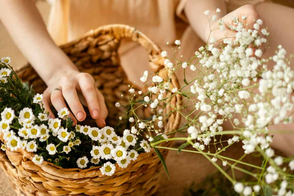 How to decorate a wicker basket with dried flowers