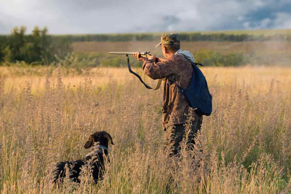 hunter with dog in a meadow