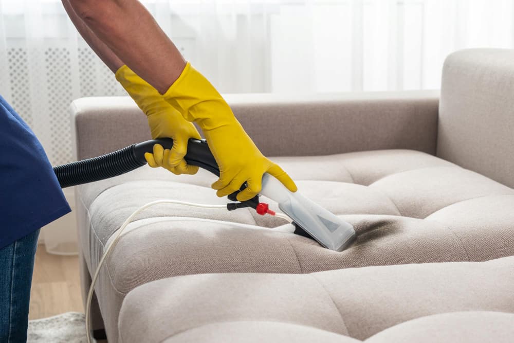 Sofa cleaning at home