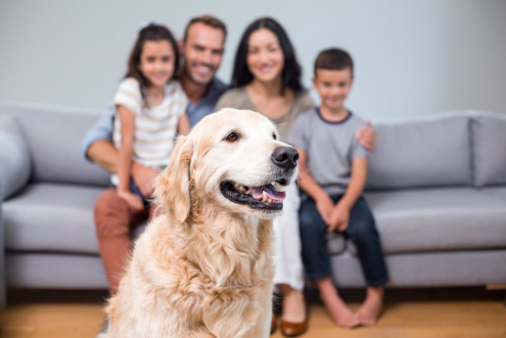 family on a sofa looks at their dog happy